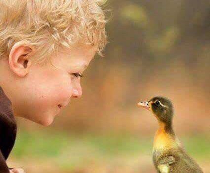 Come educare i bambini al Vegetarismo