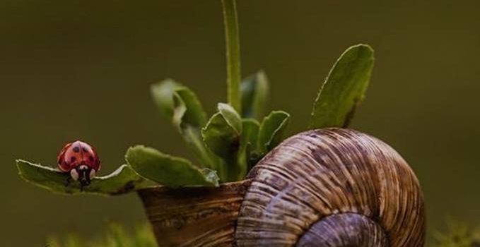 L’ASSOLUTO di Franco Libero Manco