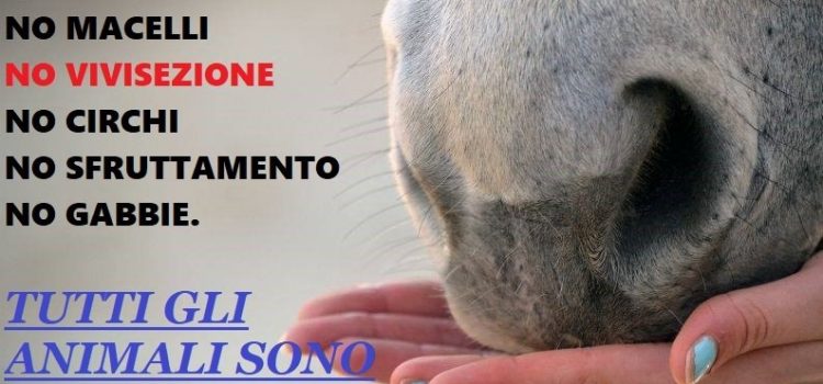 ESSENZA DEL VEGETARISMO