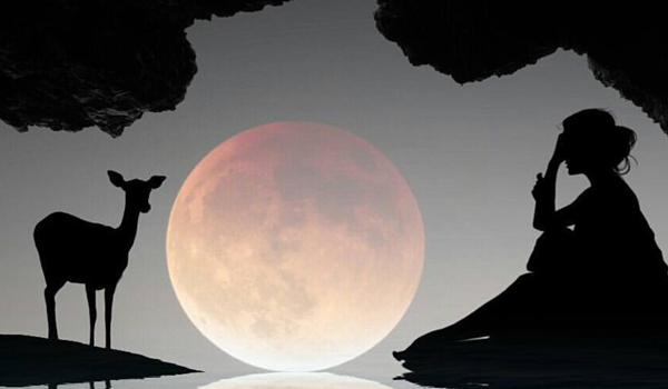 Chi Ha Paura dei Vegani Animalisti?