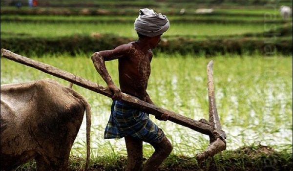 CHI MANGIA LA CARNE AFFAMA IL TERZO MONDO