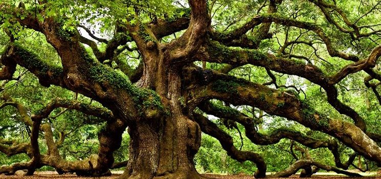 E’ aumentata la lunghezza della vita media non il benessere delle persone