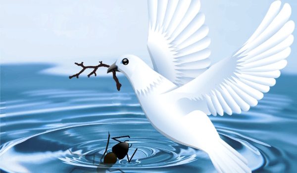 LA COLOMBA E LA FORMICA