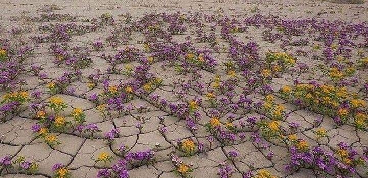 E ORA LA TERRA CI PRESENTA IL CONTO DA PAGARE (con gli interessi)