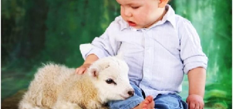 LA DECADENZA MORALE E SPIRITUALE PROGRAMMATA