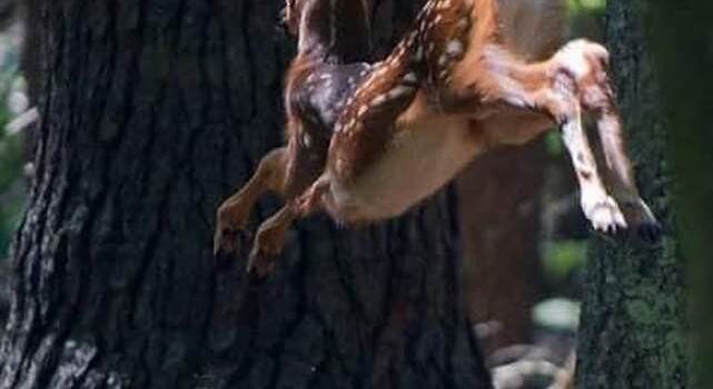 I PADRONI DEL MONDO, RESPONSABILI DELLA CRISI MONDIALE