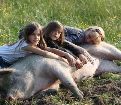 LE GIUSTIFICAZIONI DI CHI MANGIA ANIMALI