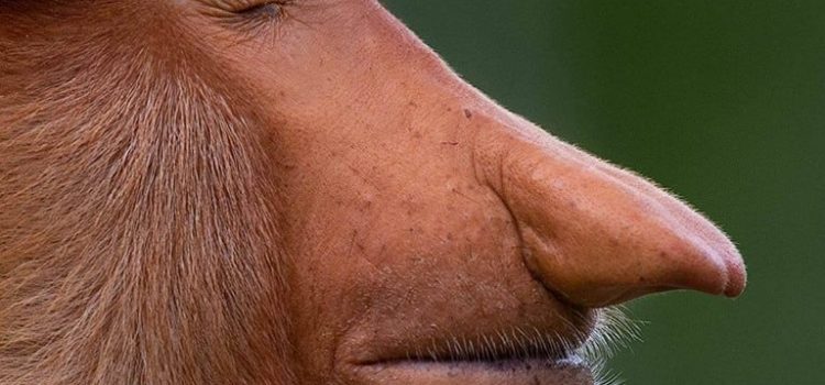 DROGA, UN MALE DA ESTIRPARE