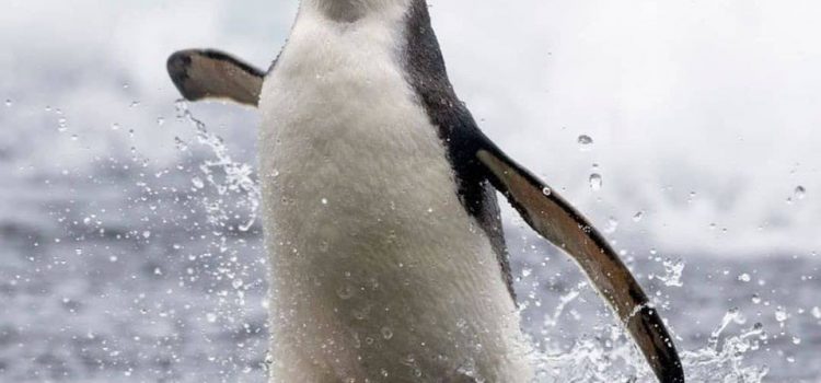 Se Dio ci avesse creato con l’intenzione di non farci masturbare, ci avrebbe fatto con le braccia più corte. (George Carlin)