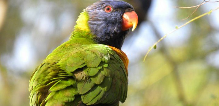 Dice il Saggio: Se hai un padre povero sei sfortunato; Se hai un suocero povero sei scemo.