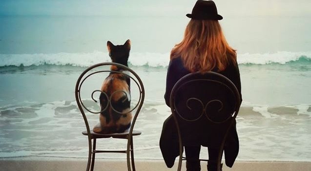 – “I signori che cosa prendono?” – – “Un tramonto vista mare per due grazie” –