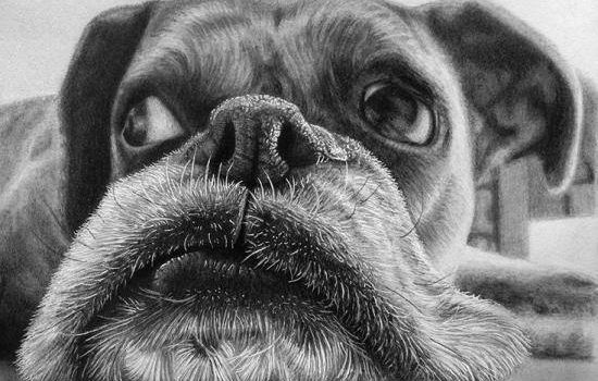 Dopo aver ascoltato una mezz’ora il mio vicino suonare il pianoforte, niente mi rilassa di più che farmi trapanare qualche dente dal mio dentista. (George Bernard Shaw)