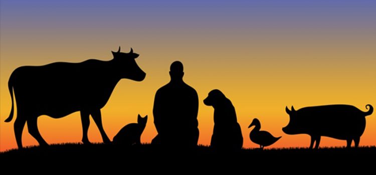 BIOCENTRISMO, LA FILOSOFIA CHE PONE AL CENTRO LA VITA