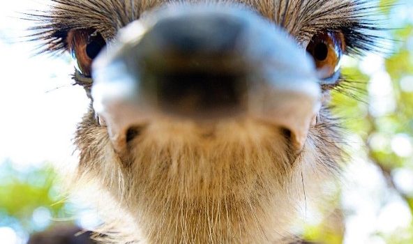 Sono una persona estremamente pulita. Ogni sera sto sotto la doccia cinque minuti, e una sera la settimana apro anche l’acqua, anche se non ne ho bisogno. (Leopold Fetchner)