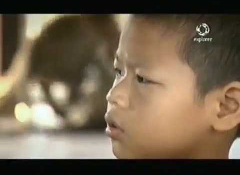 ENZIMI, LA FONTE DELLA VITA