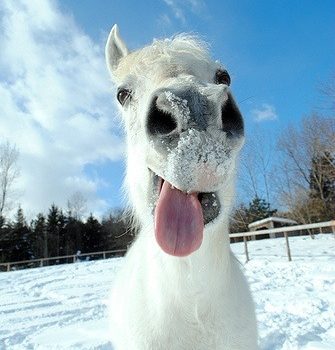 La Chiesa cattolica è strepitosa: è riuscita a convincerci che esiste un Dio caritatevole, misericordioso, che ha creato il cielo e la terra, che ci ama, ci vuole vicino a lui, è onnipotente, e ha bisogno di soldi. (George Carlin)