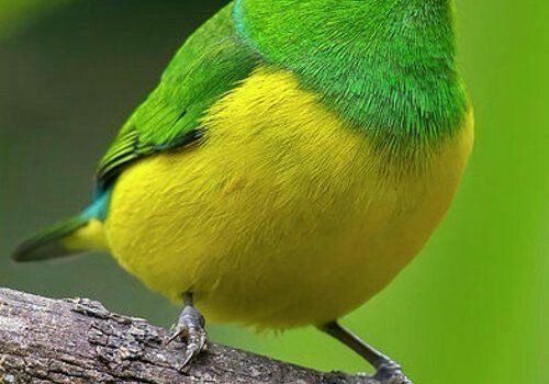 Non seguirmi, io vengo da un altro pianeta, dove tu costruisci muri, barriere e fortificazioni io ci vedo orizzonti sconfinati.