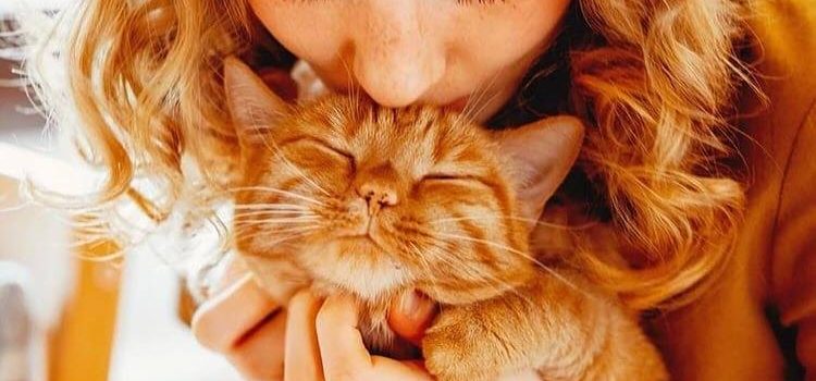 Le donne devono fare qualunque cosa due volte meglio degli uomini, per essere giudicate brave la metà. Per fortuna non è difficile.“ (Charlotte Whitton Sindaca canadese ad Ottawa)