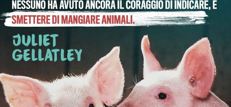 NON ESISTE ALCUN MOSTRO VIRALE CONTAGIANTE E AMMALANTE