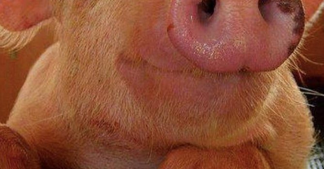 INFORMARE E SENSIBILIZZARE