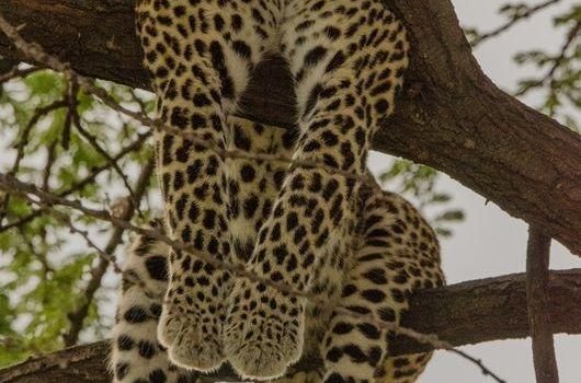 Per anni io e mio marito siamo stati a favore delle vacanze separate, ma i nostri figli sono sempre riusciti a trovarci. (Erma Bombeck)