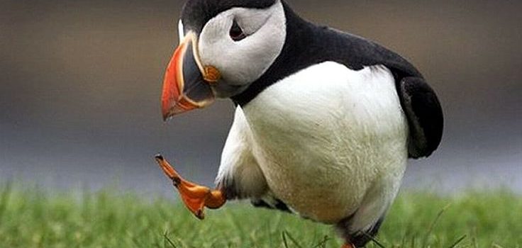 I miei genitori mi mandano spesso a trascorrere l’estate coi nonni. Ma io detesto i cimiteri. (Chris Fonseca)