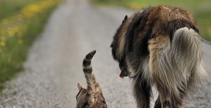 Non è tanto il viaggio che è importante; è il modo in cui trattiamo coloro che incontriamo e coloro che ci circondano, lungo la strada.  (Jeremy Aldana)