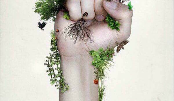 In fatto alimentare la parola d’ordine è CONFONDERE LE IDEE