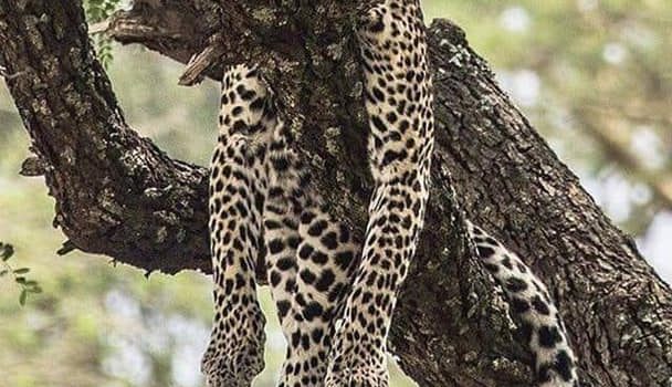 Avevo deciso di mettere in ordine la mia camera questa domenica. Sono sveglio da tre ore e ancora non ho trovato le ciabatte…