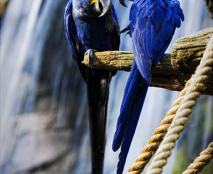 C’è un canale televisivo via cavo dedicato al tempo: Ventiquattr’ore di osservazioni meteorologiche. Avevamo qualcosa di simile anche nella mia infanzia: Si chiamava finestra. (Dan Spencer)