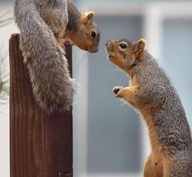 La complicità non v’è dubbio, è una sorta di linguaggio silenzioso, un incontro di pensieri e di gesti taciuti, è un vero lusso e chissà, forse per natura, concesso a pochi eletti. (Anna Rijtano Mallus)