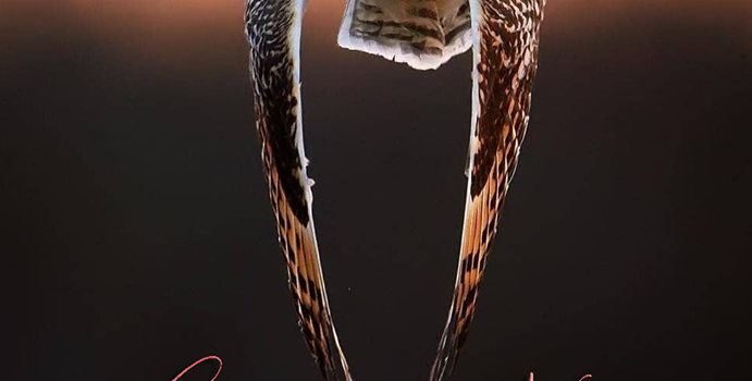 Ho visto un ragazzo con la testa rapata che somigliava a un naziskin uscire da una discoteca ubriaco, alle 4 di mattina. L’ho visto salire su una macchina, sgommare e schiantarsi a 180 all’ora su un albero. E ho pianto… Ho pianto perche’ era un albero bellissimo. Un tiglio. (Gino & Michele)