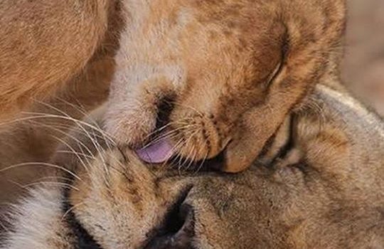 LE COSE IN CUI CREDIAMO