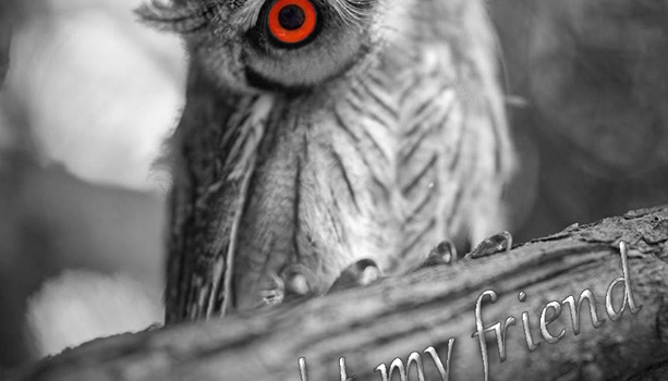 Non mi piace abbronzarmi. Sono di carnagione chiara. L’ultima volta che sono stato al mare e mi sono svestito, un medico ha insistito per farmi un’autopsia. (Matteo Molinari)