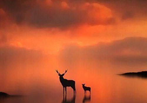 Qui giace Piero D’Avenza cittadino integerrimo…