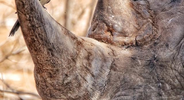 Della serie consigli utili: Non seccarti se il tuo vicino suona il suo Hi-FI alle due del mattino. Chiamalo alle quattro del mattino per dirgli quanto ti è piaciuto…