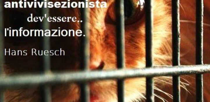 LIBERI DI  TORTURARE E UCCIDERE