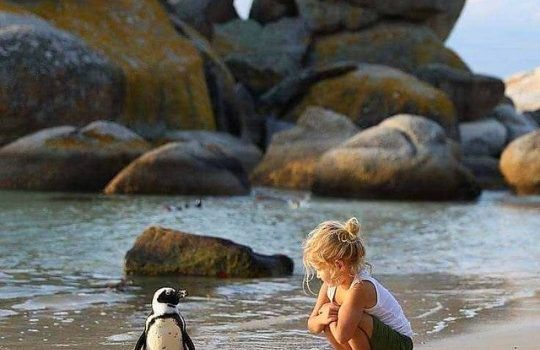 Oh estate abbondante, carro di mele mature, bocca di fragola in mezzo al verde, labbra di susina selvatica, strade di morbida polvere sopra la polvere. (Pablo Neruda)