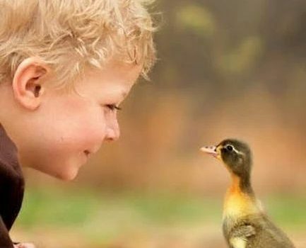 Durante i miei nove anni alle scuole superiori non sono riuscito ad insegnare niente ai miei professori. (Bertolt Brecht)