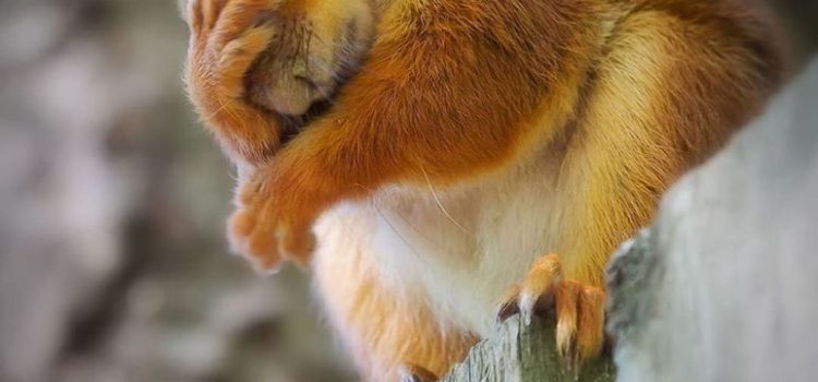 Bocciate. Bocciate un pò di figli del popolo. Che rimanga qualche idraulico. (Marcello Marchesi)