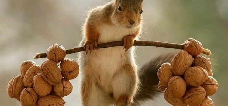 Mio suocero era contrario all’aborto, poi mi ha conosciuto ed è diventato subito favorevole.  (Dario Vergassola)