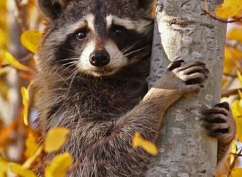 Scuola: campi di concentramento del Terzo Millennio
