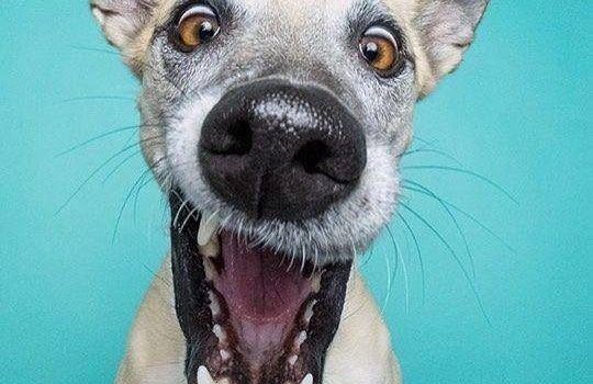 La Chiesa è una sposa sbandata che in mezzo alla piazza copula e si accoppia con banchieri, politici e diplomatici, avvelenando al tempo stesso la vita ai ragazzini che si fanno una sega. (Vladimir Senakovsky)