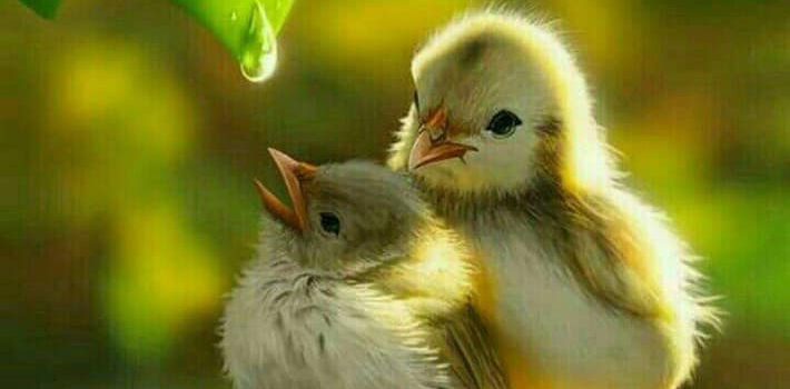 Recandosi la domenica in un centro commerciale si può assistere al naufragio dell’umanità. (Piero Trabucchi)