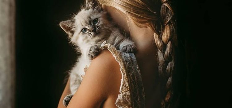 Non è facile conquistare l’amicizia di un gatto. Vi concederà la sua amicizia se mostrerete di meritarne l’onore, ma non sarà mai il vostro schiavo. (Théophile Gautier)