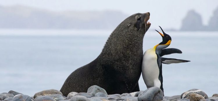 Non solo Dio non esiste, ma provate un pò a trovare un idraulico la domenica. (Woody Allen)