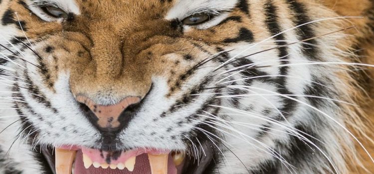 Quel ragazzo aveva dei pantaloni così stretti che non solo si distingueva il sesso ma anche la religione. (Bruno Lauzi)