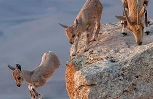 Pensavo fosse scuola e invece era un lager…