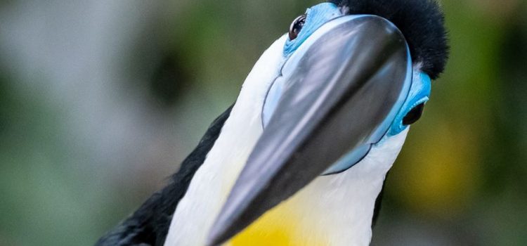 Il letto è il posto più pericoloso del mondo: Vi muore l’80% della gente.  (Mark Twain)