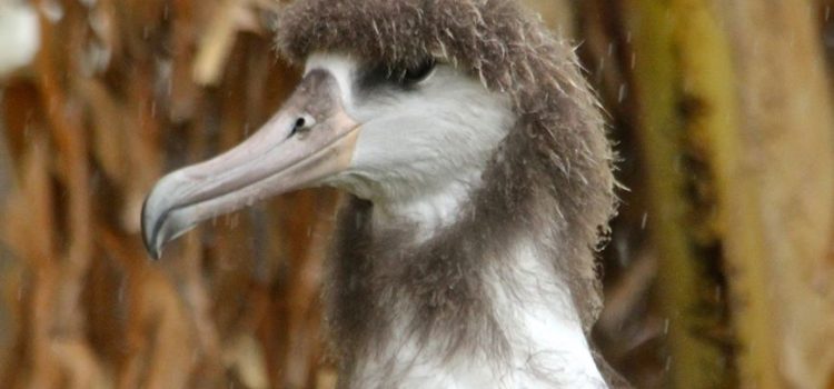 – Quello che mi serve è una persona sveglia, veloce, scattante e con molta voglia di lavorare. – − Bene, se mi assume le darò una mano a cercarla. – (Dudley Moore)